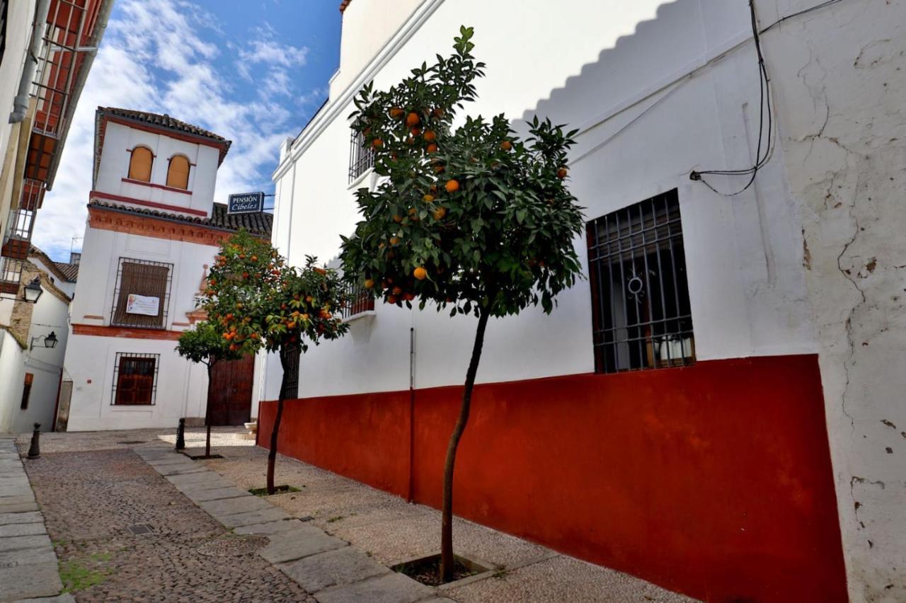 Pension Cibeles Cordoue Extérieur photo